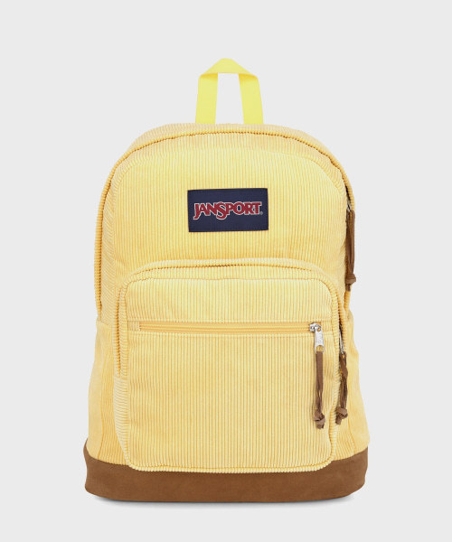 JANSPORTS 公式 イクスプレッション コードュロイ SUN SHIMMER