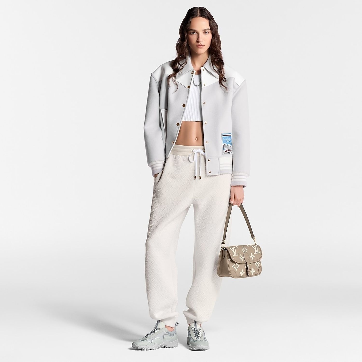 《上品な色合い/2色》LOUIS VUITTON ディアヌ ＮＭ ＰＭ