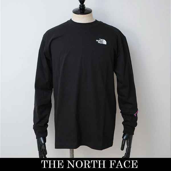 THE NORTH FACE(ザ・ノースフェイス)ロングTシャツ NF0A89 CAJK3