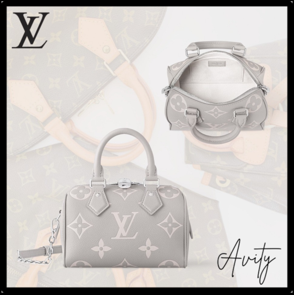 【上品グレーが素敵♪】Louis Vuitton ハンドバッグ