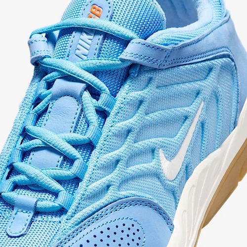 《☆超レア☆》☆NIKE☆SB Vertebrae☆Blue
