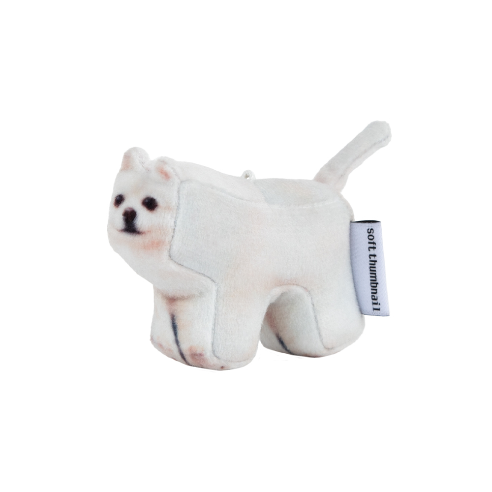 《SOFT THUMBNAIL》 DOG MASTER Hodu, Pomeranian