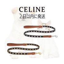 CELINE　シン ドッグリーシュ