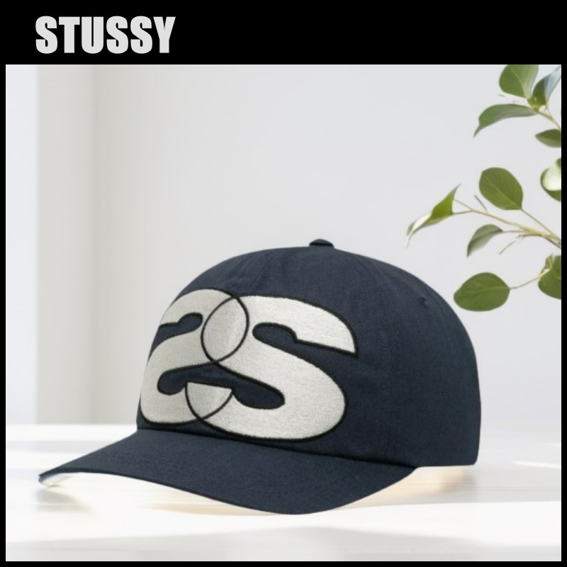 Stussy Big SS Low Pro Snapback ステューシー キャップ