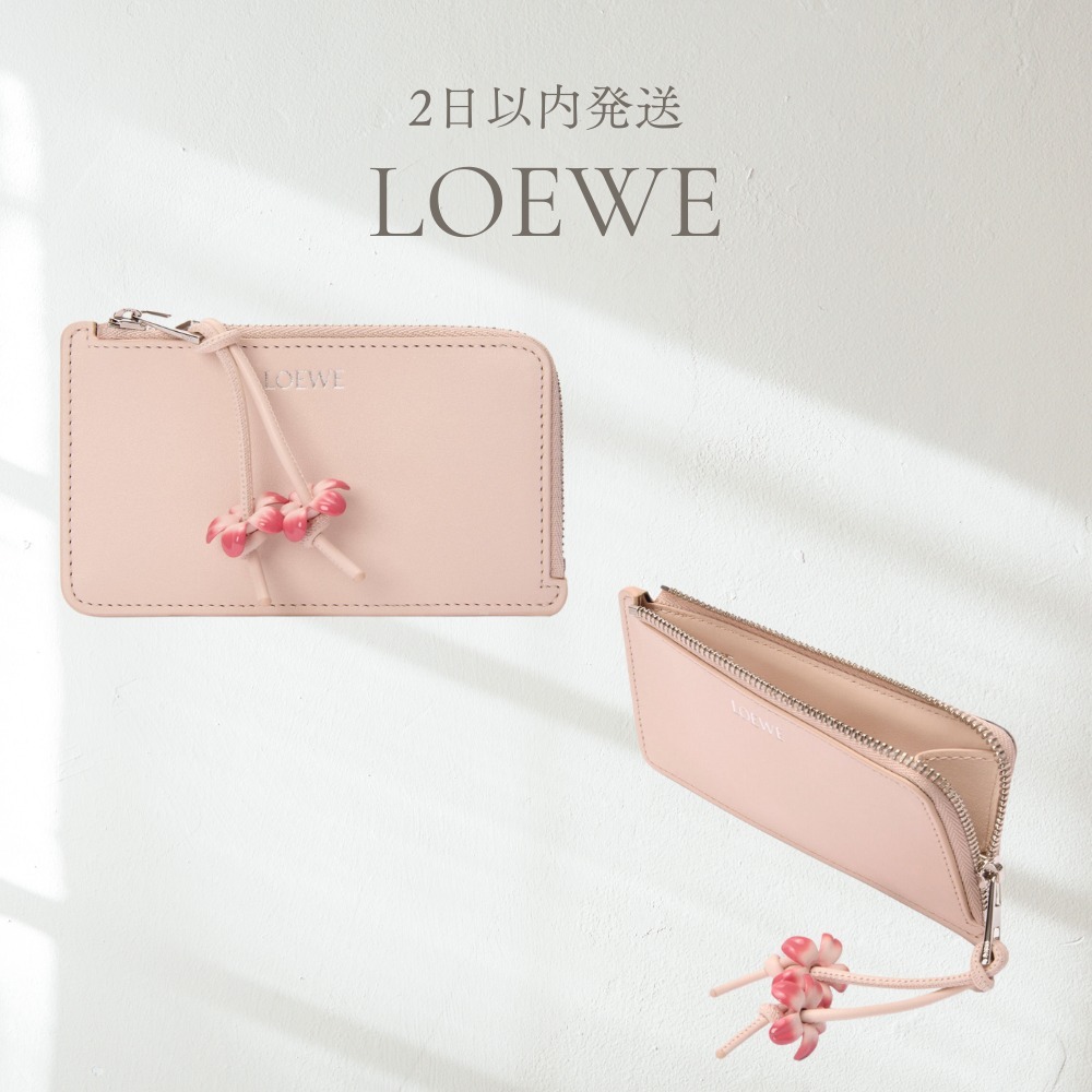 LOEWE【日本限定】コインカードホルダー（クラシックカーフ）