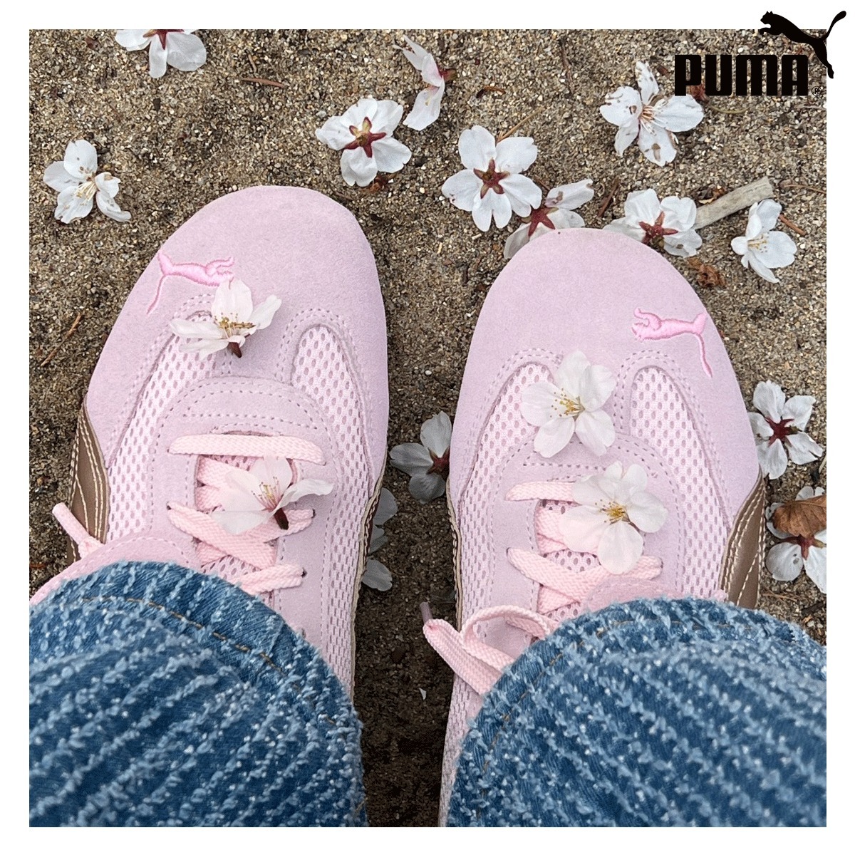 Puma x Open Yy ★ Speedcat Whisp of Pink Chamomile