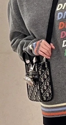 【オシャレ☆】Dior★ミニトートバッグ ノースサウス《SAFARI》