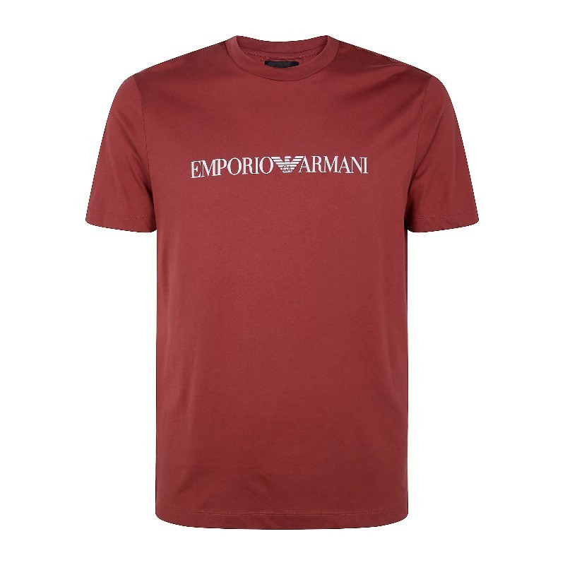 Tシャツ・カットソー EMPORIO ARMANI SS25 T-SHIRT (8N1TN5 1JPZZ M5041)