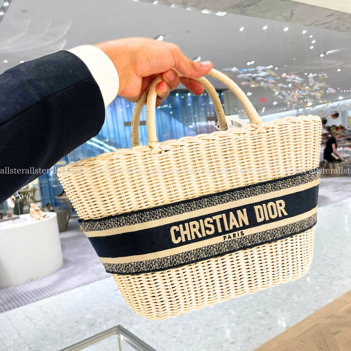 【Dior】ディオール オブリーク ロゴ カゴバッグ