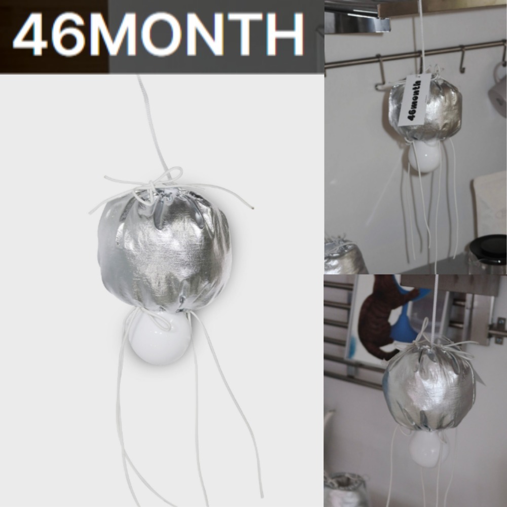 ★ 46MONTH★ silver hanging lamp