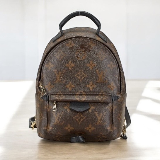 LOUIS VUITTON モノグラム パームスプリングス ミニバックパック