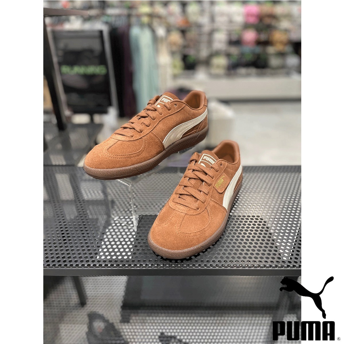割引中★ Puma ★ PALERMO BROWN MUSHROOM SUGARED ALMOND