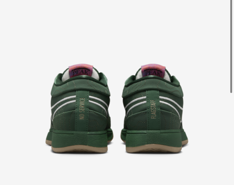 【NIKE】BOOK 1 \"FLAGSTAFF\" EP バスケットボールシューズ