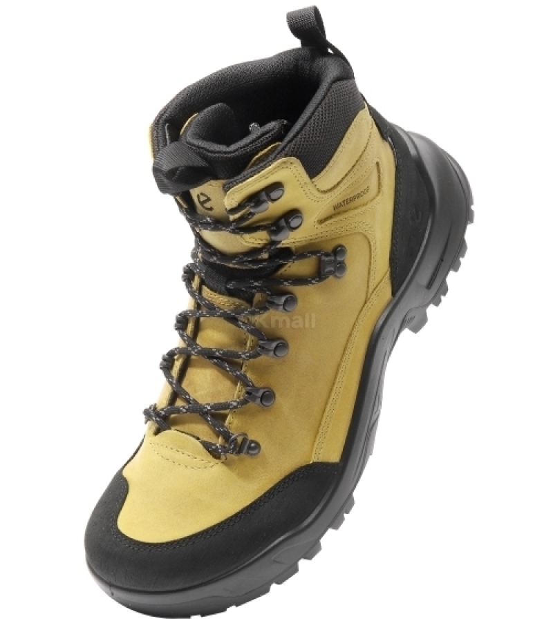 ECCO｜ (ECCO OFFROAD M (822434-58277))