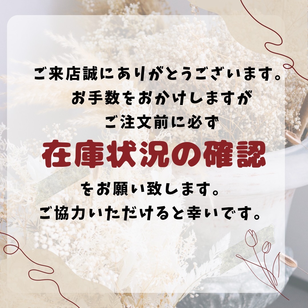 VASIC（ヴァジック）ボンドミニ 2wayミニショルダーバッグ