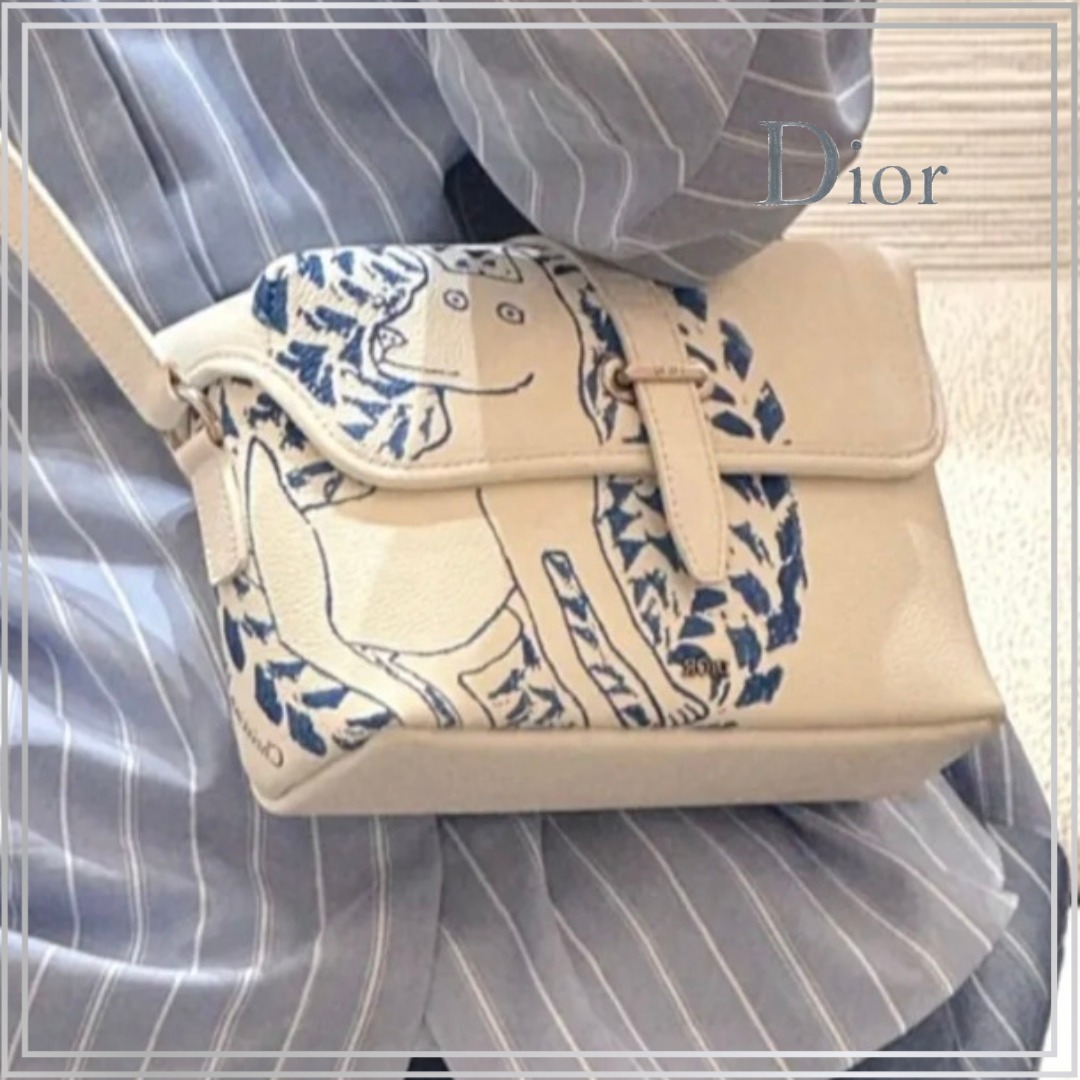 【限定コラボ】◆Dior◆フラップ メッセンジャーバッグ