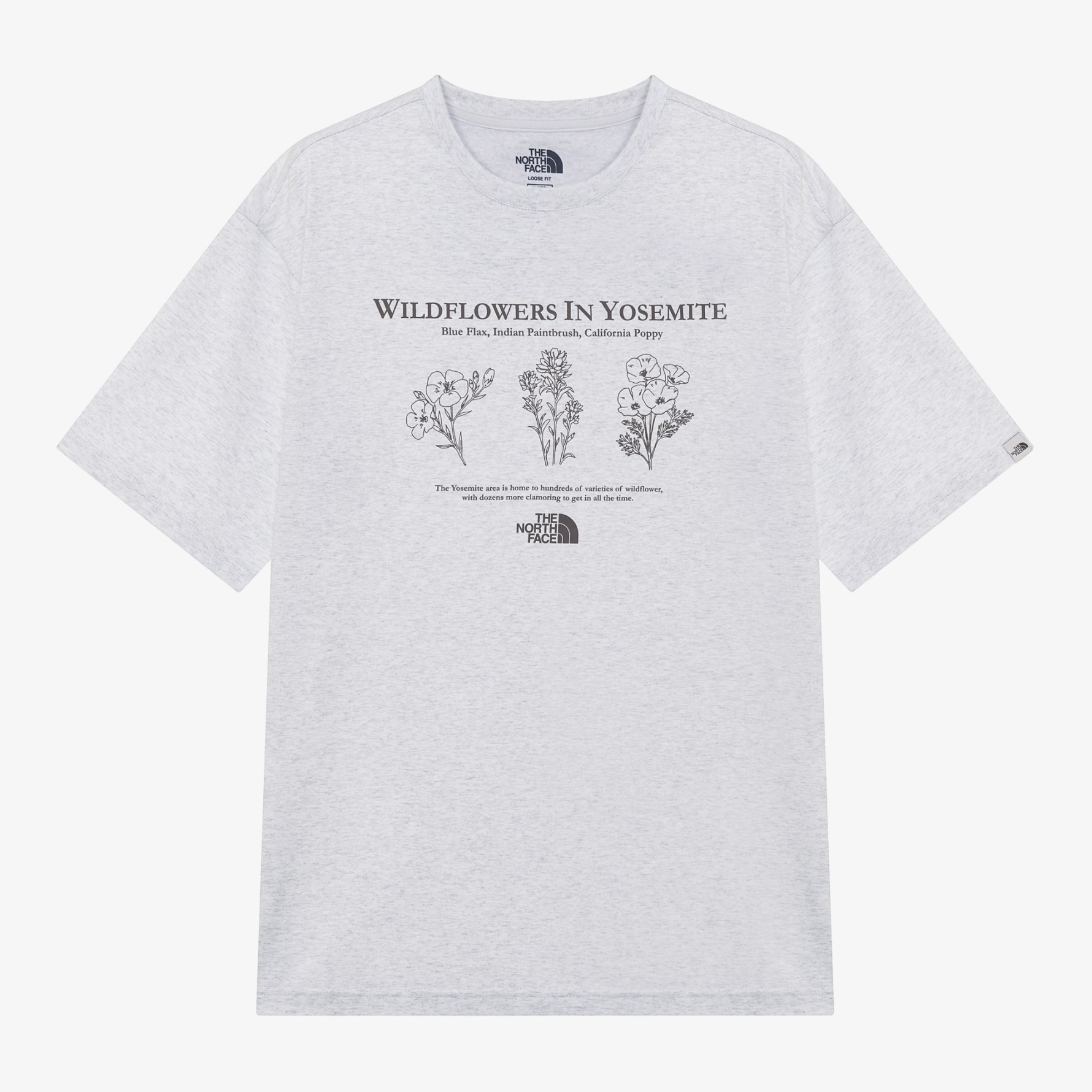 ノースフェイス]FLOWER EX 半袖 ラウンド Tシャツ☆25SS☆男女