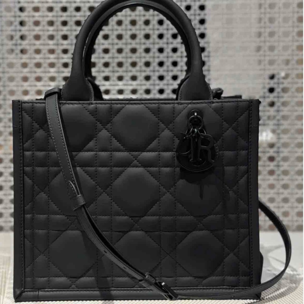 【マチが大きくたくさん入る！】DIOR BOOK TOTE スモール