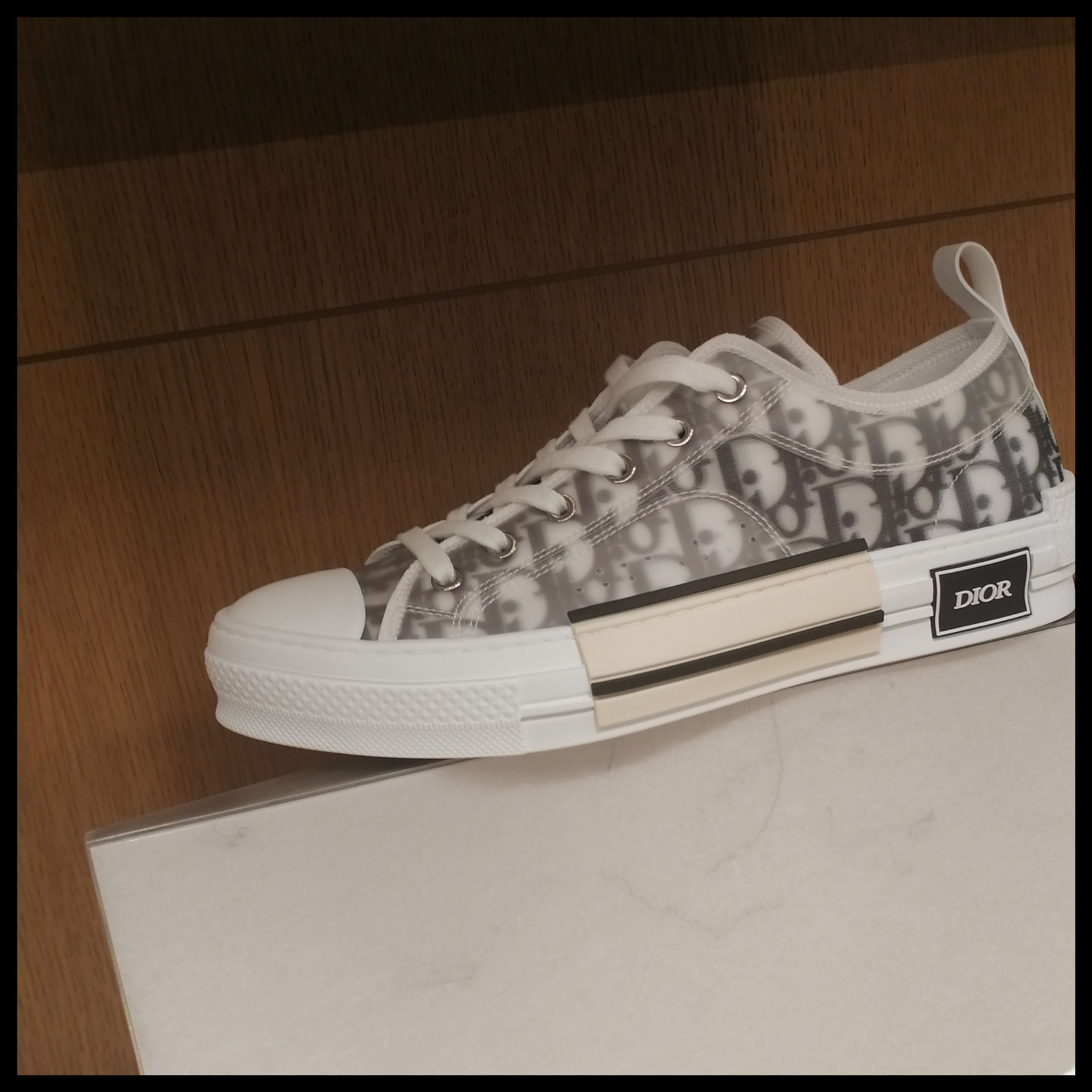 ◆DIOR◆B23リーグ ロートップスニーカー オブリーク キャンバス