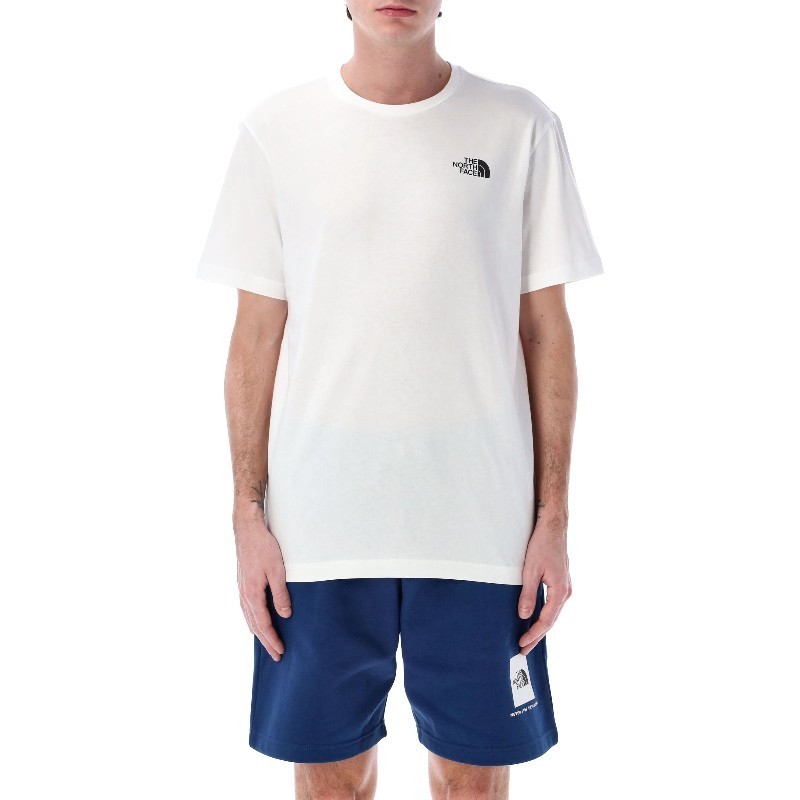 Tシャツ・カットソー THE NORTH FACE SS25 BOX LOGO TEE (NF0A87NP FN4)