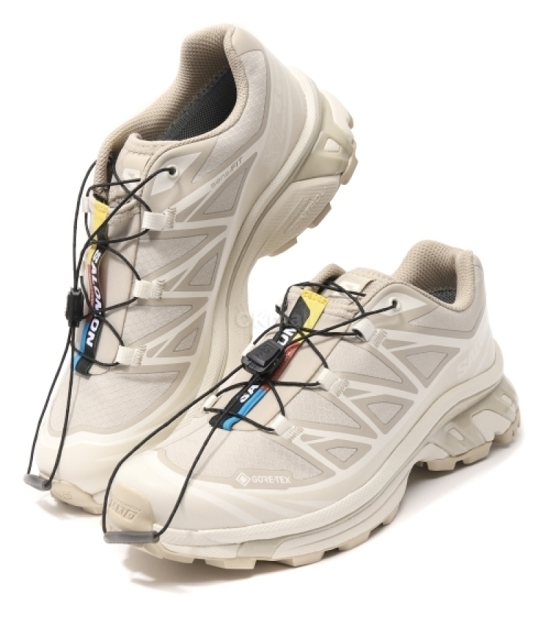 SALOMON｜SNEAKERS (XT-6 GTX (Oxford Tan/Almond Milk/Safa