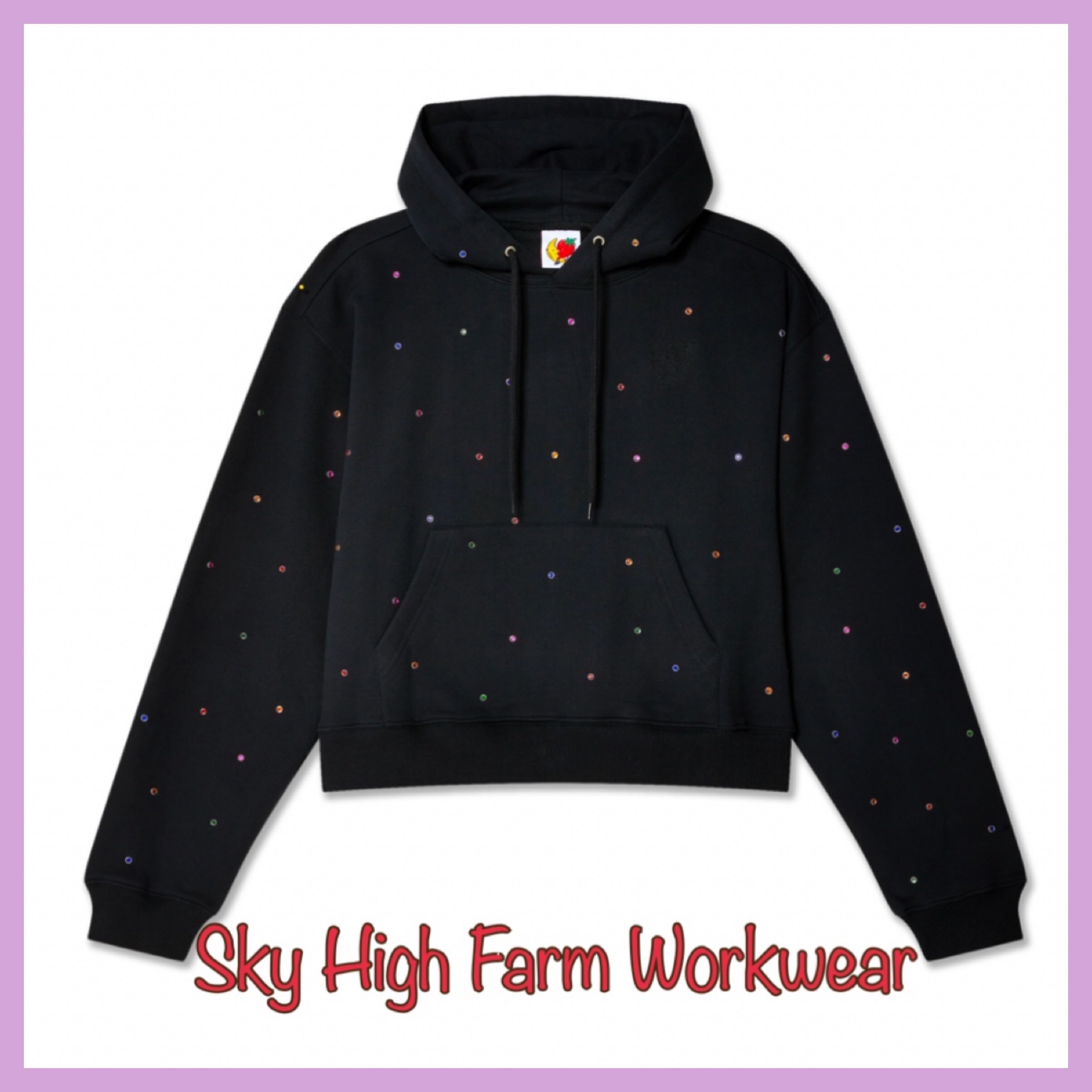 日本未入荷【Sky High Farm Workwear】 スタッズフーディニット