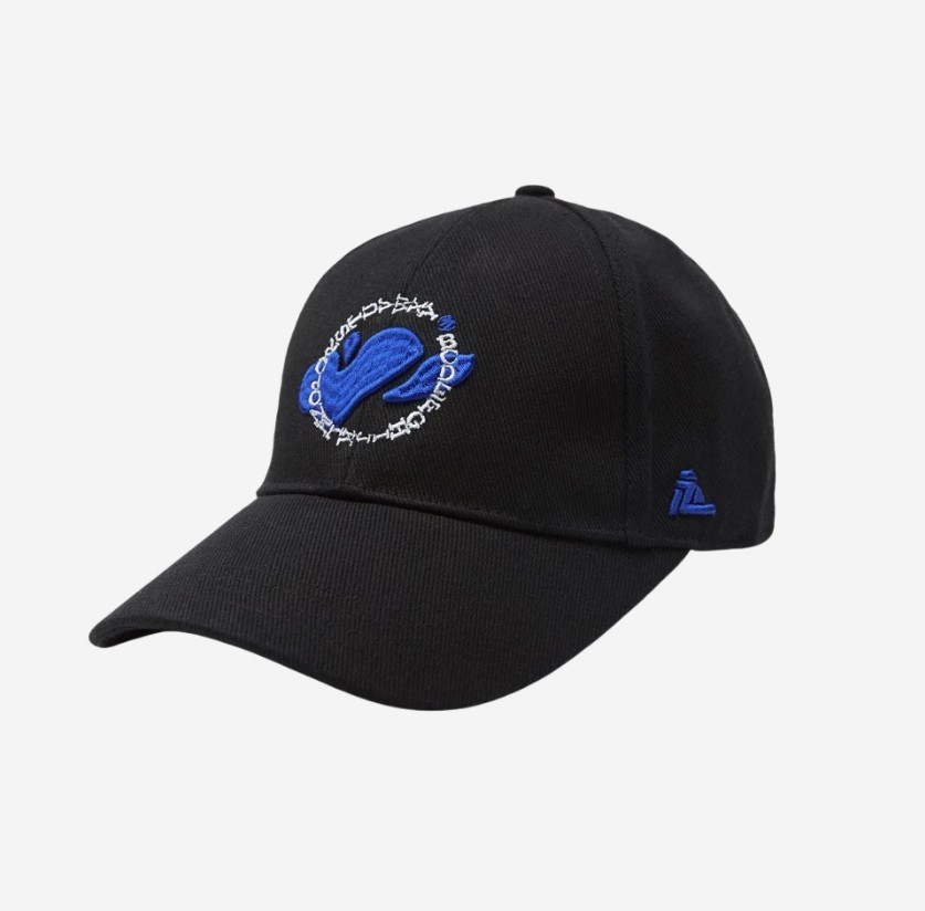 【ADERERROR】 Ader Error x Zara Embroidered Cap Black