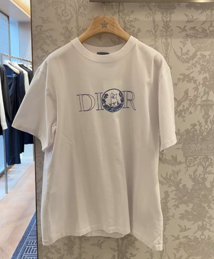 Dior 25SS《DIOR AND HYLTON NEL Tシャツ》ホワイト 刺繍 直営店
