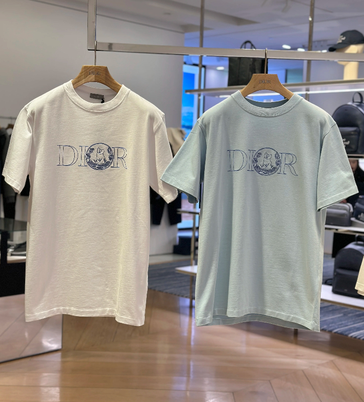 Dior 25SS《DIOR AND HYLTON NEL Tシャツ》ブルー 刺繍 DHL 直営