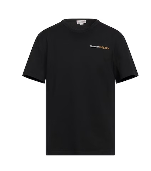 alexander mcqueen ベーシックTシャツ