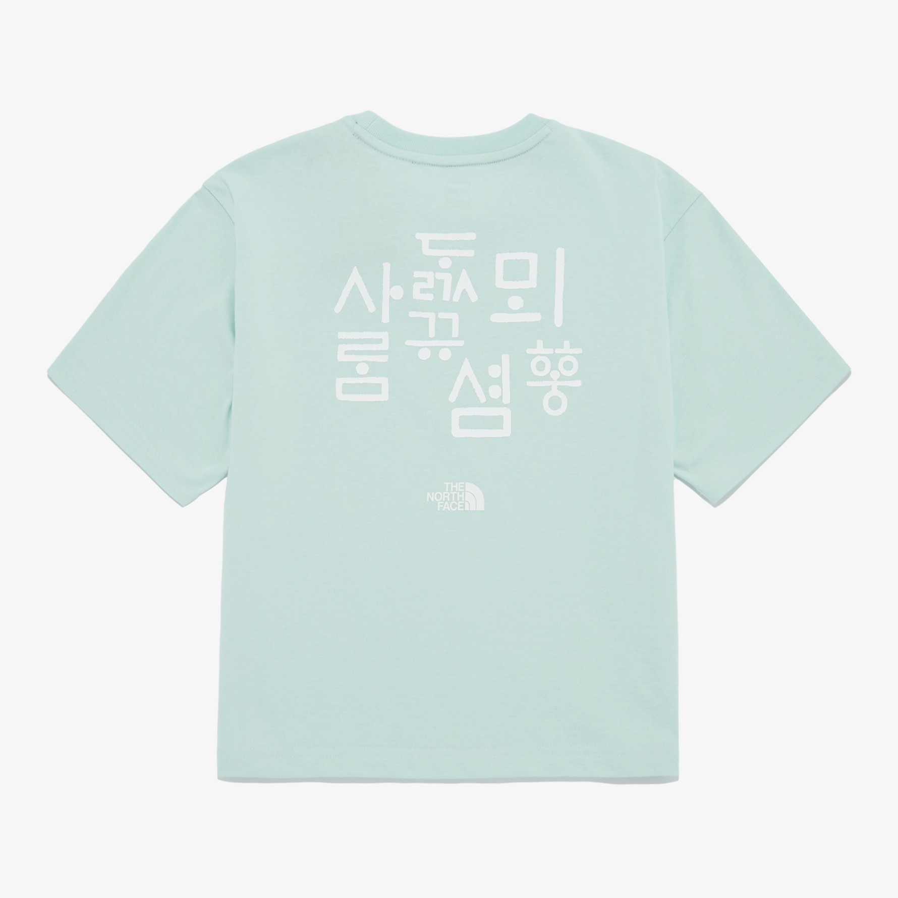 Tシャツ・カットソー [The North Face] W'S TNF HANGEUL S/S R/TEE - MINT