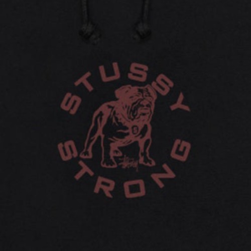 25’春【Stussy】Strong Mac Hooded Sweatshirt スケーター 25'春【Stussy】Strong Mac Hooded Sweatshirt スケーター