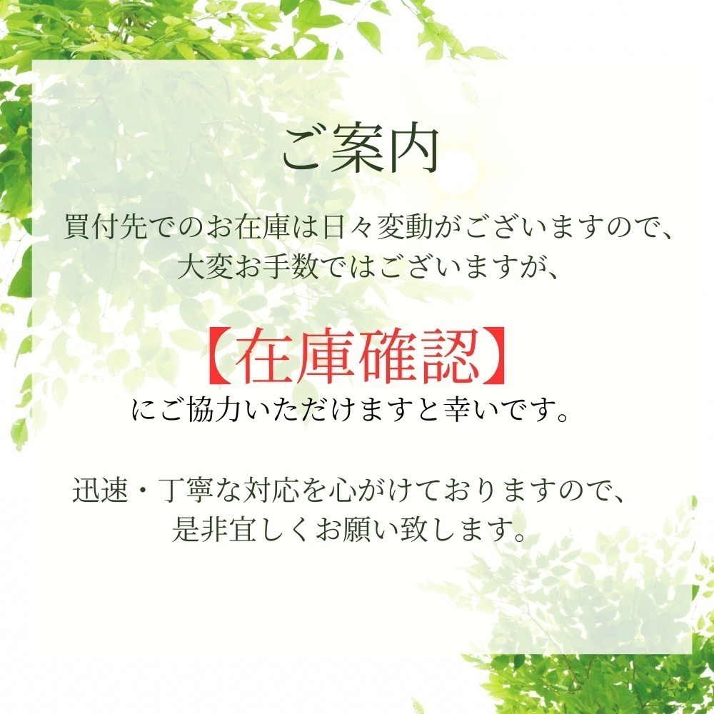 【HERMES】新作 天然素材 Ecuyere PMピアス HERMES】ピアス 《エリタージュ・エケストル》 エトリエ PM
