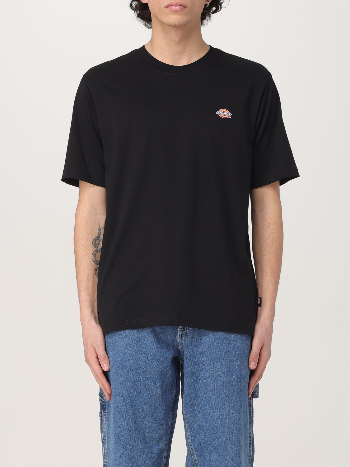 Tシャツ・カットソー DICKIES Men T-shirt Black DK0A4XDB BLK1