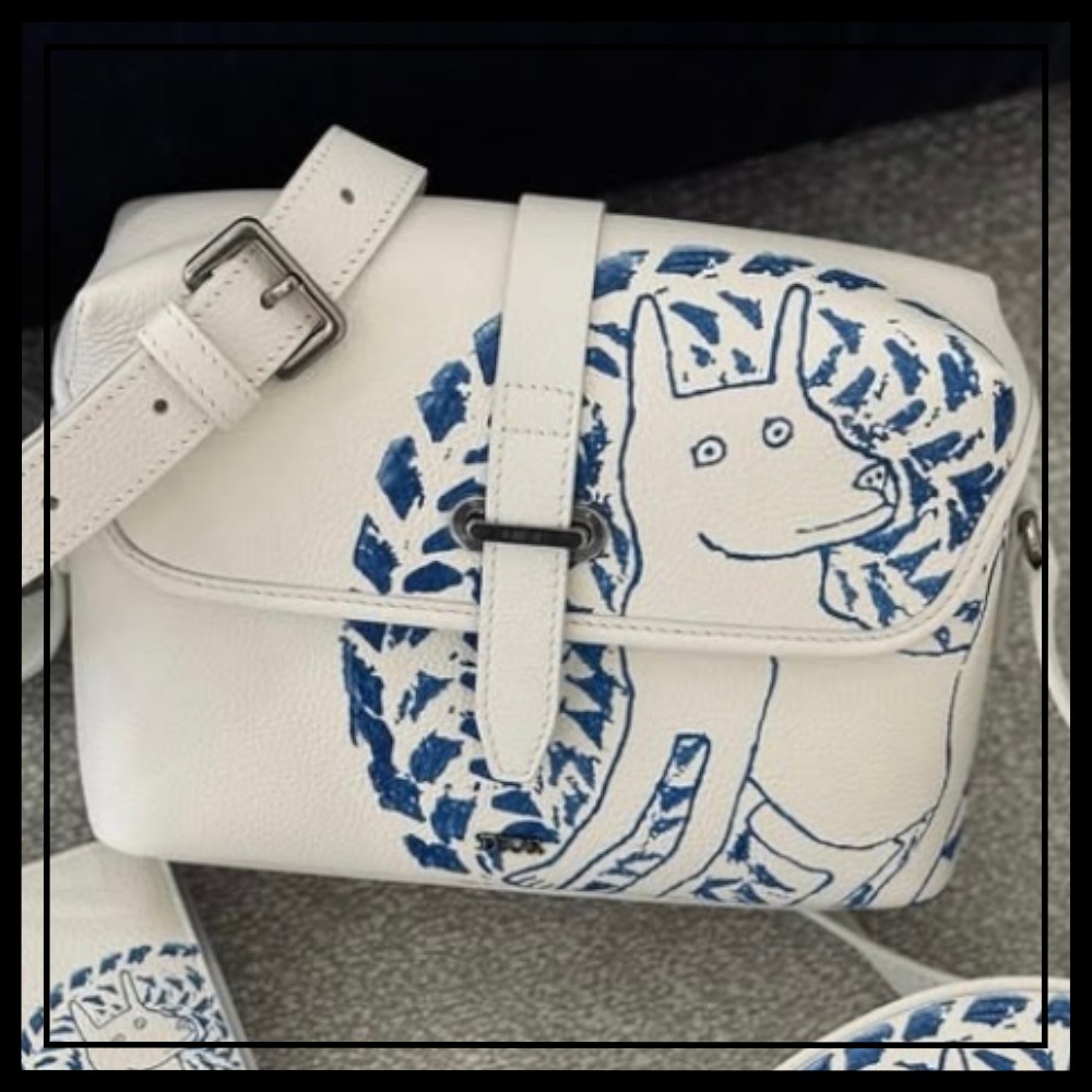 【お洒落カワイイ♡】DIOR メッセンジャーバッグ