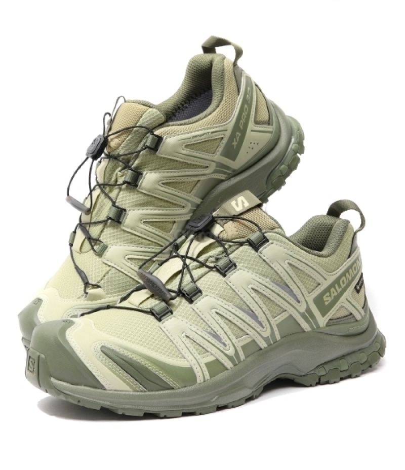 SALOMON｜SNEAKERS (XA PRO 3D GTX (Gray Green/Alfalfa/Dee