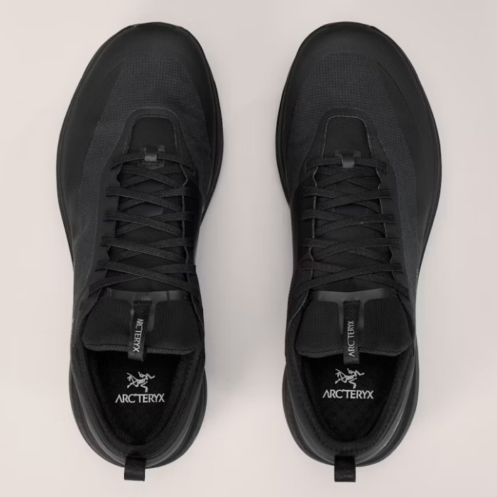 防水性・透湿性◎《Arc'teryx》サイラン GTX シュー アウトドア