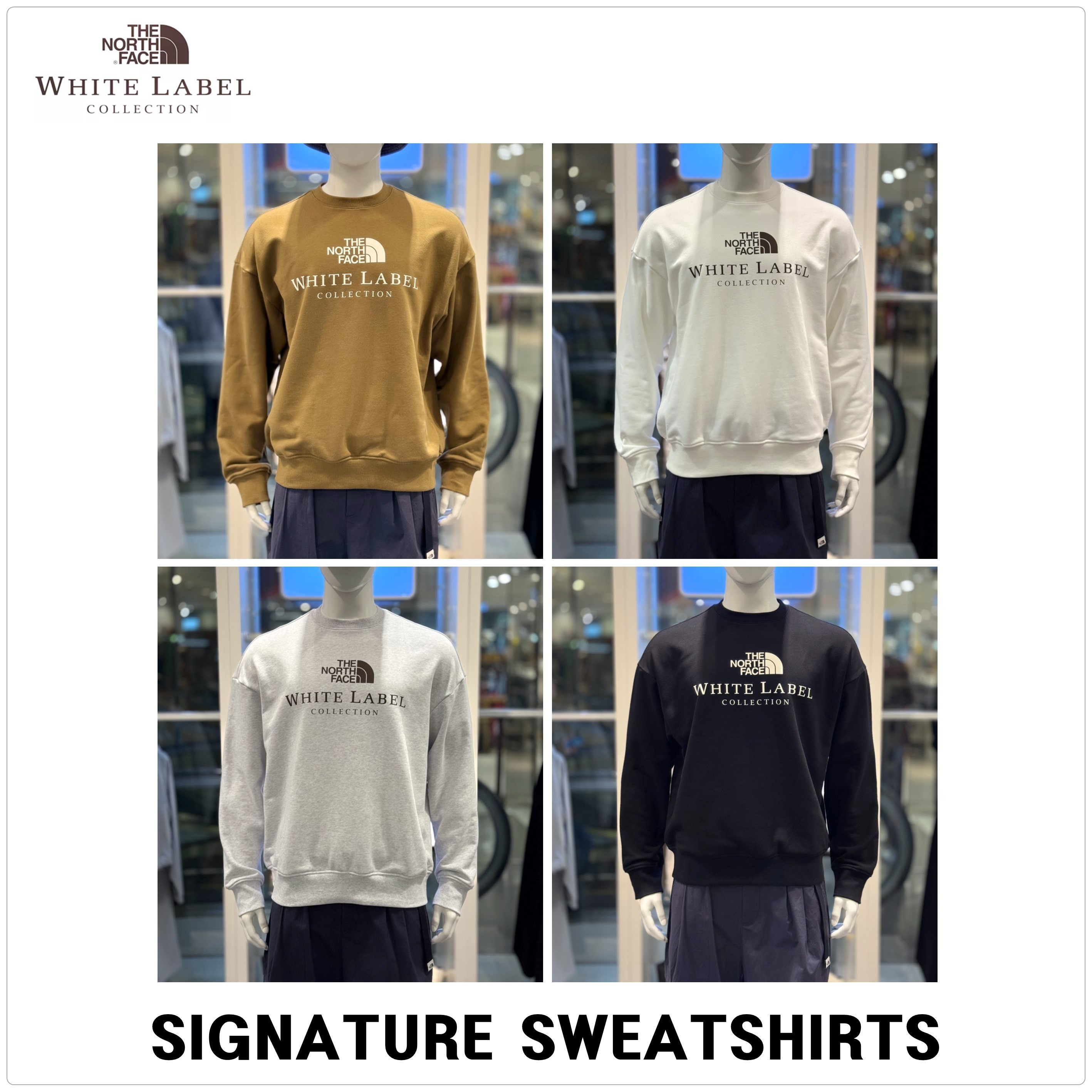 [ノースフェイス]SIGNATURE スウェットシャツ★新作・25SS★男女