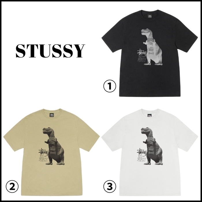 【STUSSY】★Tシャツ★ BIG & MEATY TEE PIGMENT DYED