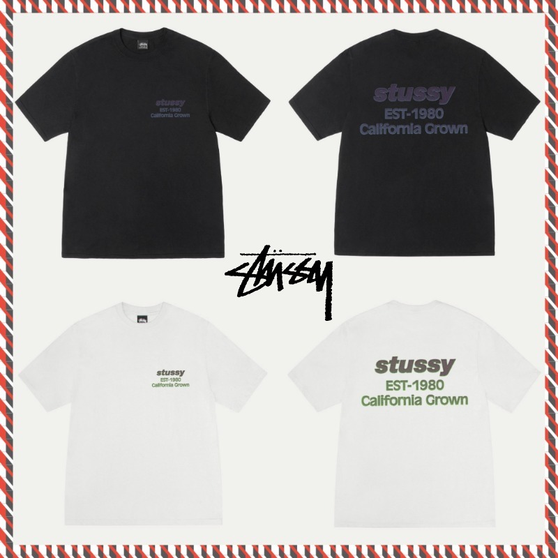【STUSSY】25ss CALIFORNIA GROWN TEE PIGMENT DYED