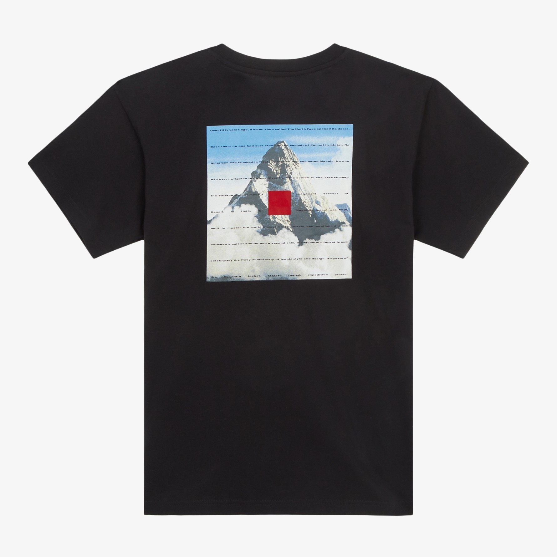 Tシャツ・カットソー 25SS THE NORTH FACE M'S 40TH ANNIVERSARY MOUNTAIN S/S R/TEE
