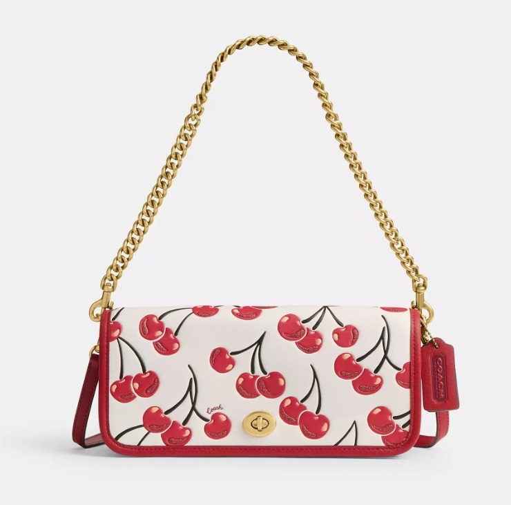 COACH チェリープリントのディンキーバッグ