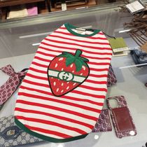 半額以下!!Gucci★かわいいワンちゃんにもグッチ★各サイズ1点