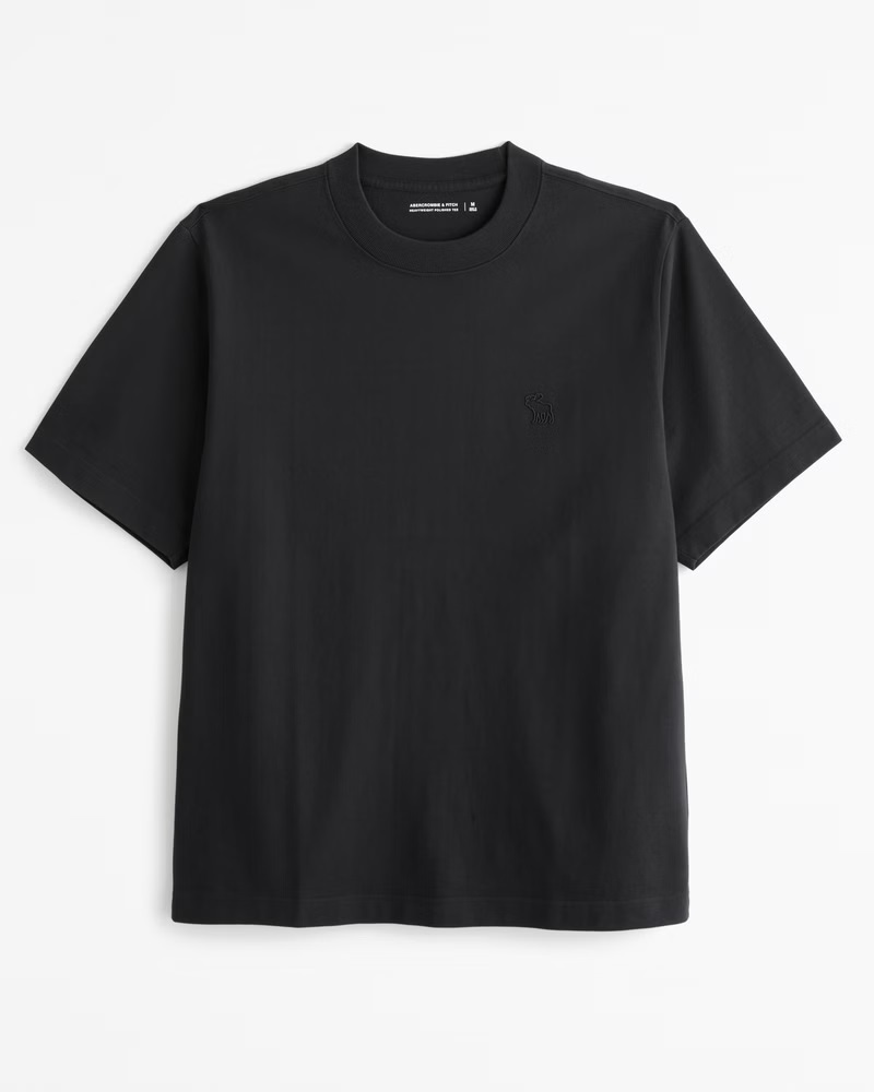Abercrombie&Fitchプレミアムヘビーウエイト半袖Tシャツtx089