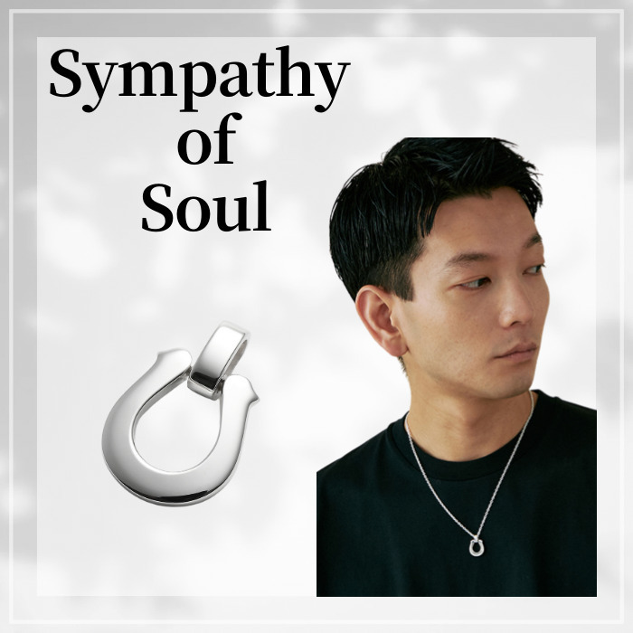 S.O.S ☆ラージホースシューペンダント シルバー チャームのみ