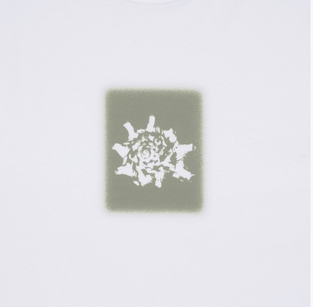 ◆25SS THE COLDEST MOMENT TCM conch T/2色◆