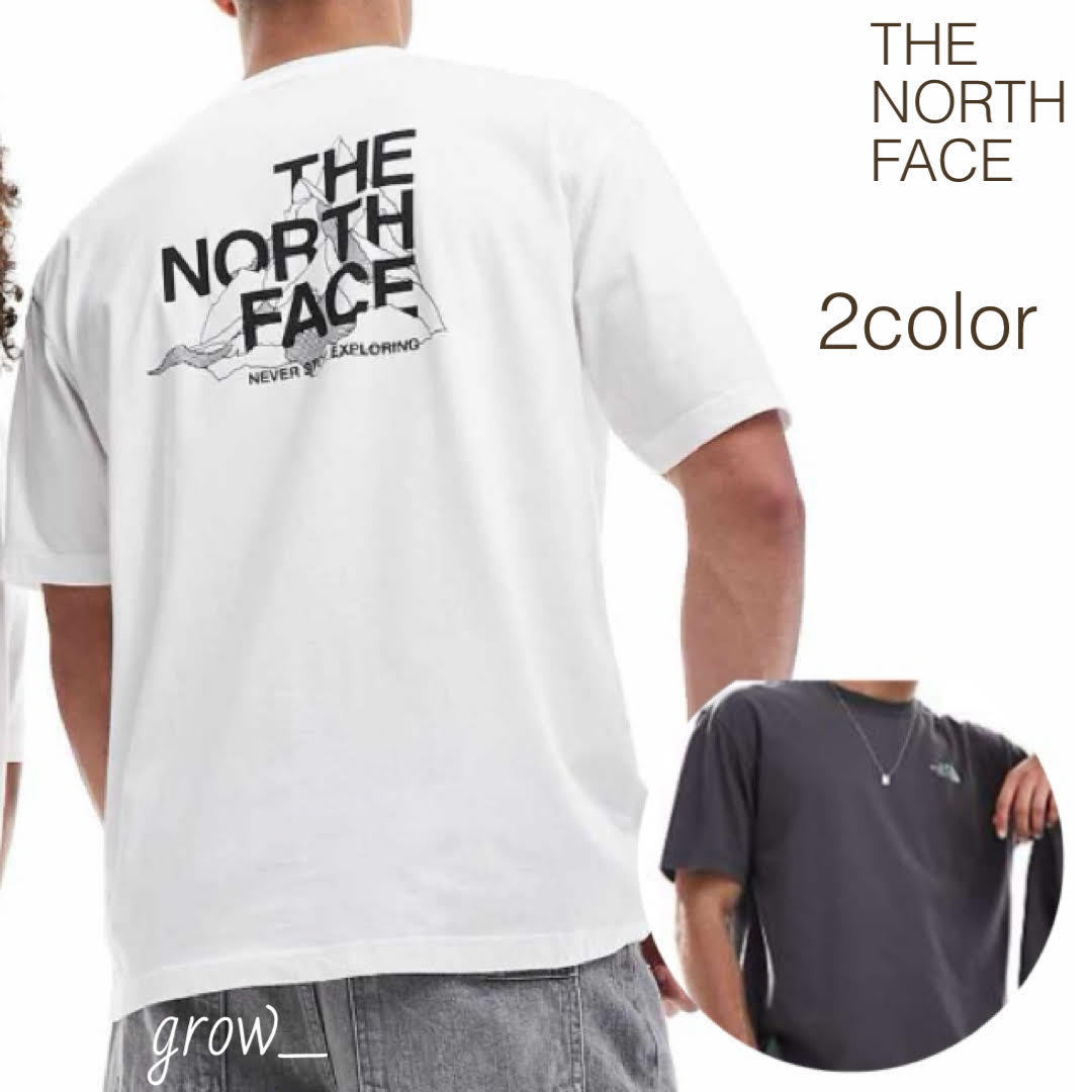 TNF マウンテンスケッチ オーバーサイズ Tシャツ 送関込