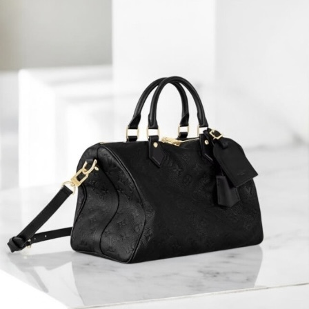 【日本未入荷＊送込】Louis Vuitton スピーディ ソフト30 バッグ