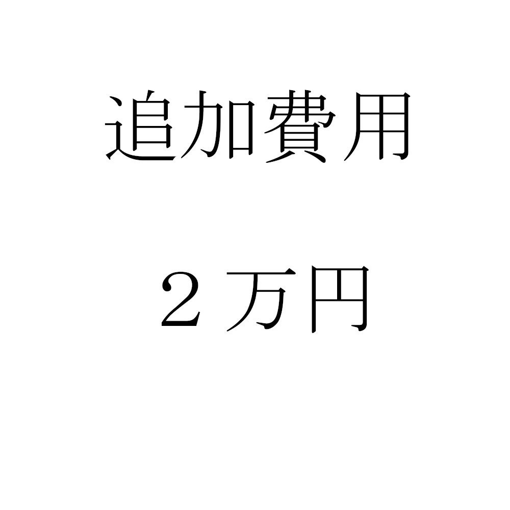 追加費用 20000円