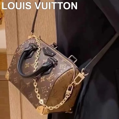 《ハンドルがかっこいい》Louis Vuitton Speedy 20 トランク